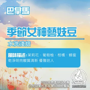 巴拿馬季節女神水洗藝妓半磅