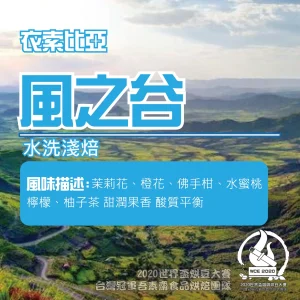 衣索比亞風之谷水洗半磅