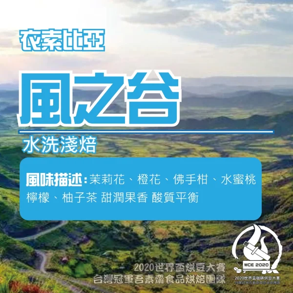 衣索比亞風之谷水洗半磅