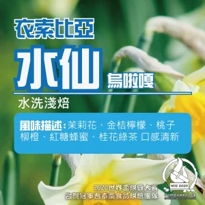 衣索比亞烏拉嘎水洗水仙淺焙半磅