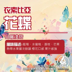 衣索比亞淺焙日曬花蝶半磅