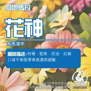 瓜地馬拉花神淺中半磅