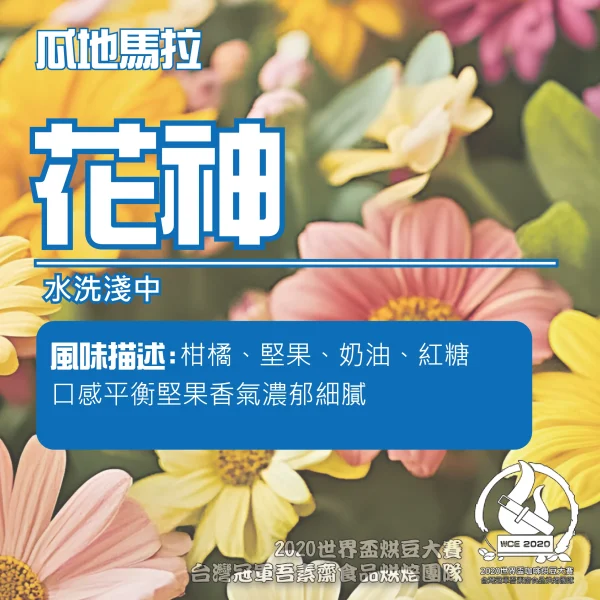 瓜地馬拉花神淺中半磅