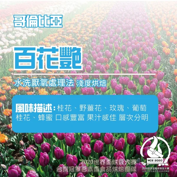 哥倫比亞水洗厭氧百花艷半磅