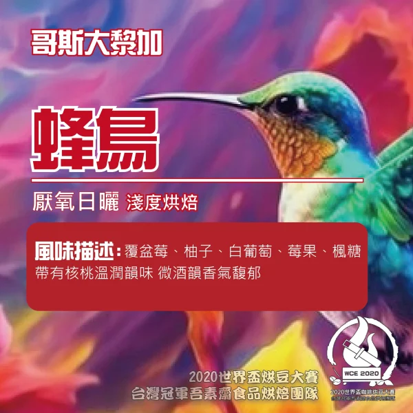 P1174599492767 哥斯大黎加厭氧日曬蜂鳥(微酒韻)