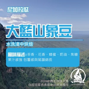 衣索比亞大藍山象豆水洗半磅