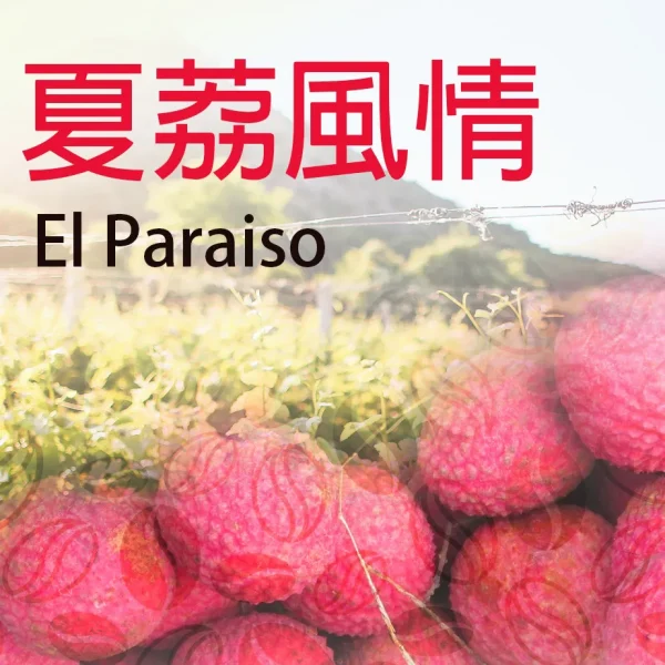 P1175497656285 哥倫比亞厭氧夏荔風情 (新上市)限量販售